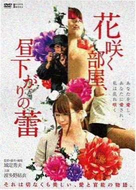 穆赫兰道 午夜电影福利推荐